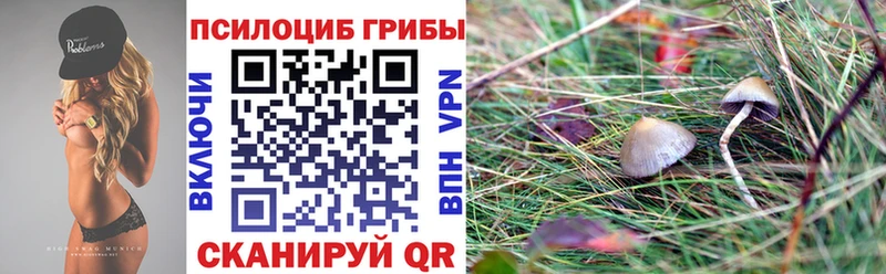 даркнет сайт  Аксай  hydra зеркало  Псилоцибиновые грибы Cubensis 